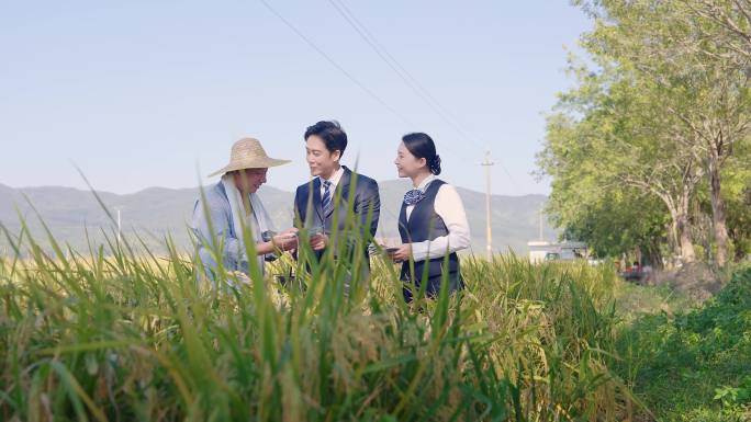 惠民助农政策讲解