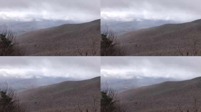 纽约州卡茨基尔山脉黑头山在十一月降雪时的景色。