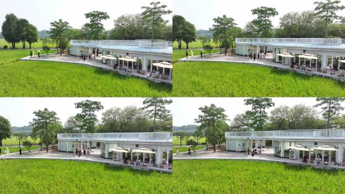 中国广东省中山市南朗街道崖口稻田