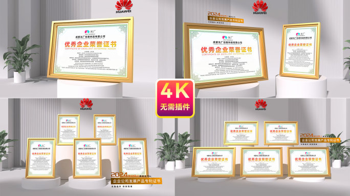高端企业专利荣誉证书
