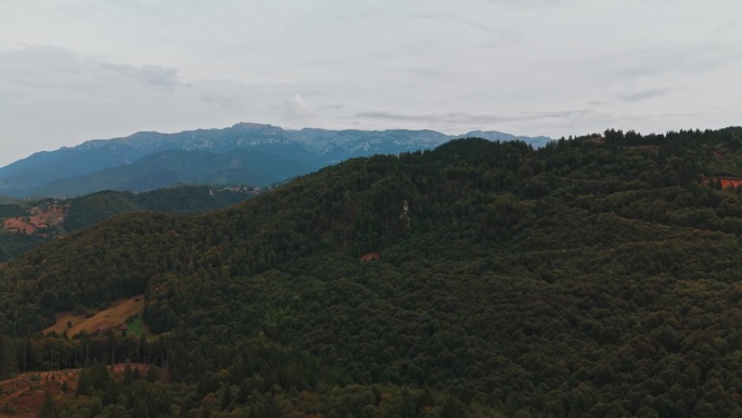 一幅令人惊叹的美景，展示了雄伟的山脉与浓密、郁郁葱葱的森林在多云的天空下交相辉映。