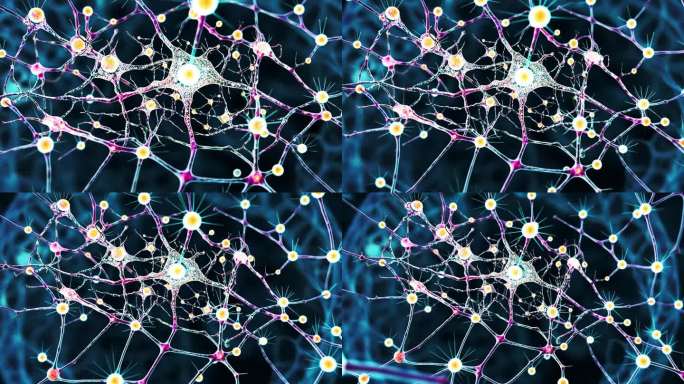 神经元 人体神经 神经递质 生物细胞