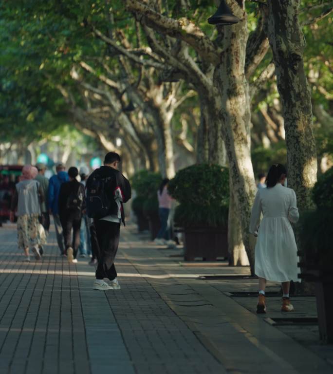 杭州西湖街拍游客松鼠