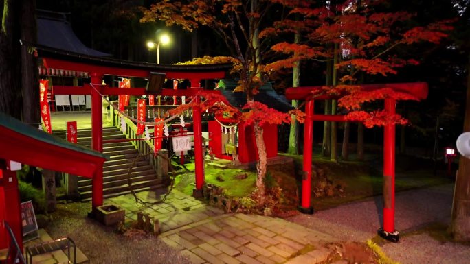 夜晚照亮的神社鸟居和红枫树