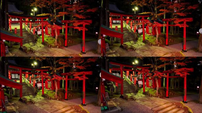 夜晚照亮的神社鸟居和红枫树