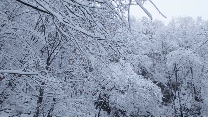 雪淞航拍