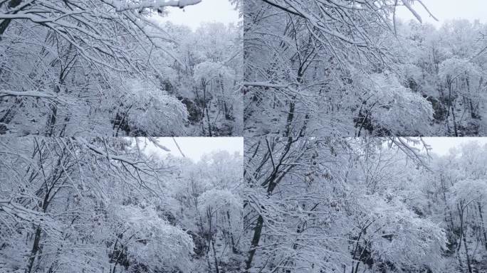 雪淞航拍