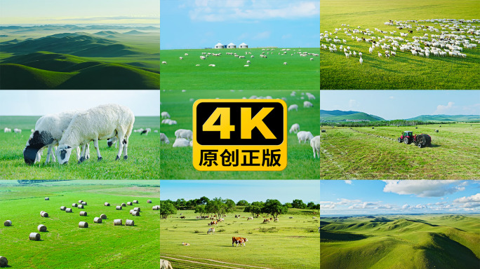 呼伦贝尔大草原天然牧场4K