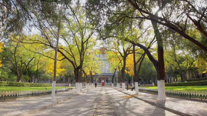 4k航拍山东大学趵突泉校区秋景