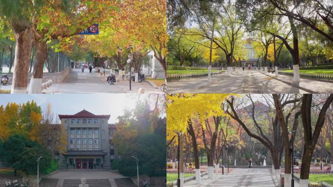 4k航拍山东大学趵突泉校区秋景