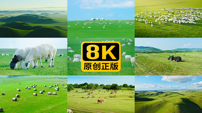 呼伦贝尔大草原8K超高清