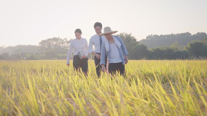 扶贫助农