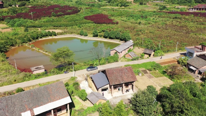 航拍湖南衡阳耒阳市蔡伦竹海风景