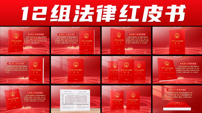 党政书籍 法律法规 红皮书展示