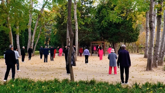 幸福晚年退休生活公园里打太极拳的老人们