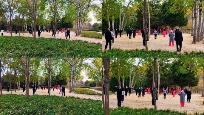 幸福晚年退休生活公园里打太极拳的老人们