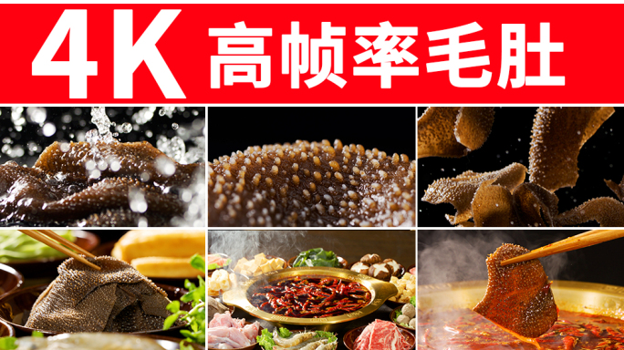 毛肚 毛肚火锅