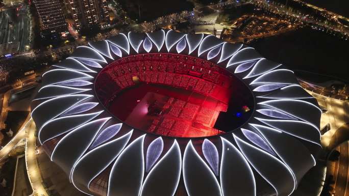 杭州市奥体中心体育场大莲花亮灯4k素材