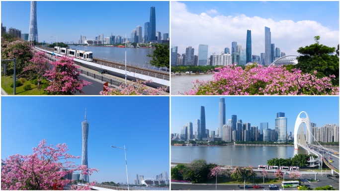 广州城市风光花城广州