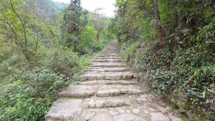 POV在中国浙江的山中徒步旅行，沿着树木和森林的小径行走，绿色植物和山脉，跟随，平稳的运动云台，泥土