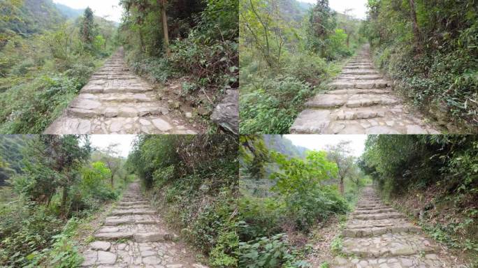 POV在中国浙江的山中徒步旅行，沿着树木和森林的小径行走，绿色植物和山脉，跟随，平稳的运动云台，泥土