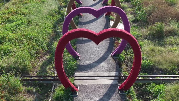 中国广东省佛山市三水区白坭镇七彩花田