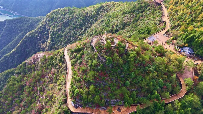 三峡红叶