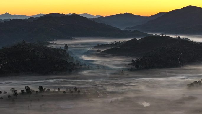 云雾缭绕的茶山