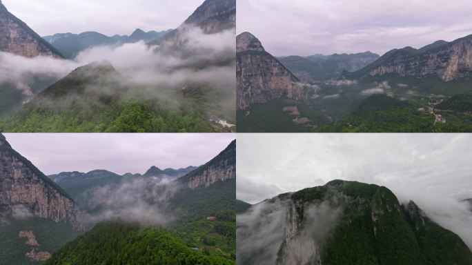 湖北恩施山林