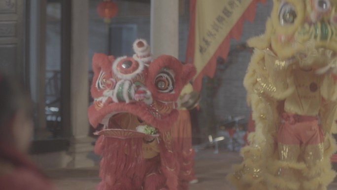 舞狮贺新年