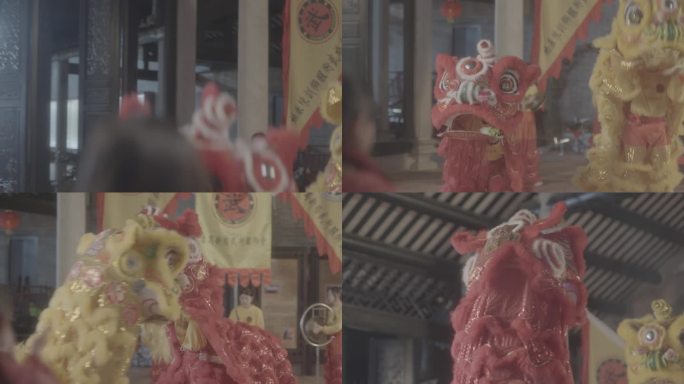 舞狮贺新年