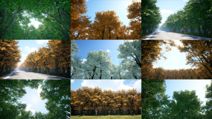 春夏秋冬变换四季变化延时一镜到底超长合集