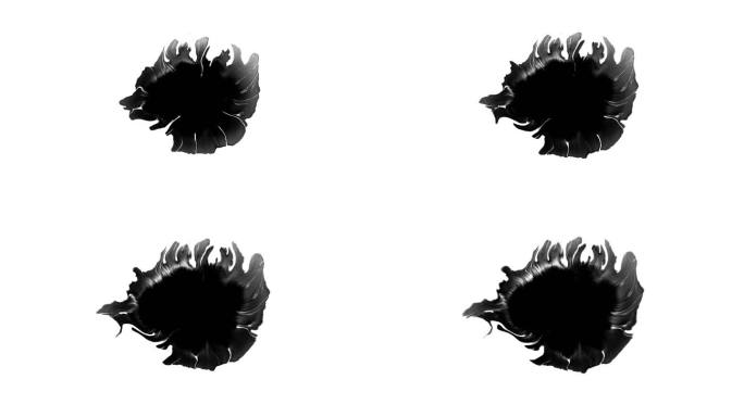 黑白水墨晕染特效素材 (41)