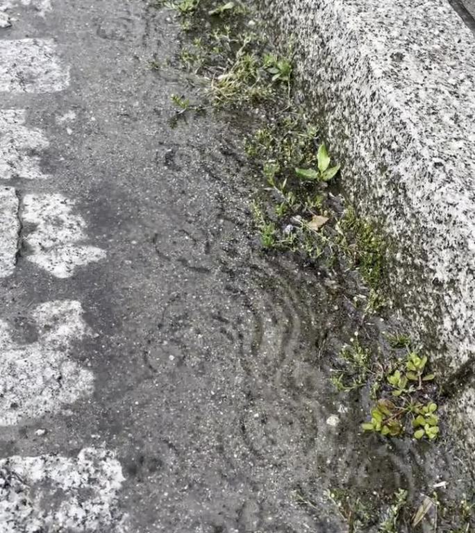 雨滴落在鹅卵石路上