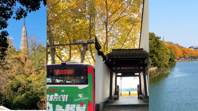 竖屏 杭州西湖北山街秋景