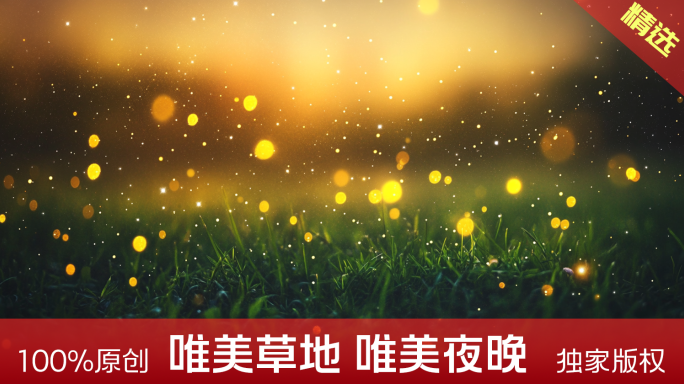 唯美草地 唯美粒子