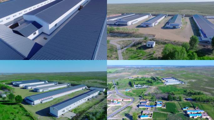 鄂托克旗木凯淖尔土鸡养殖厂