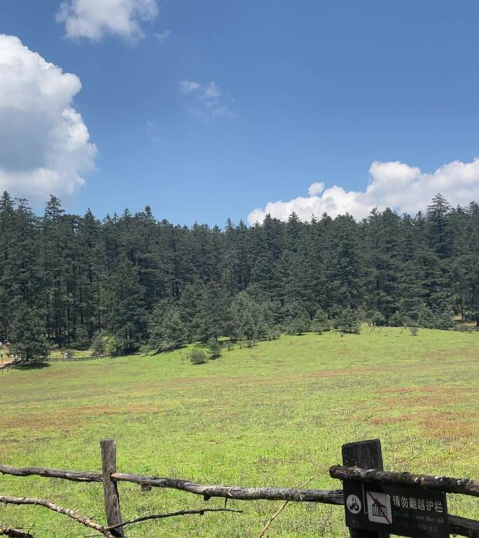 云南旅游丽江玉龙雪山云杉坪索道