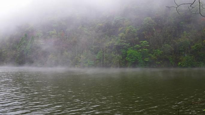 湖面雾气