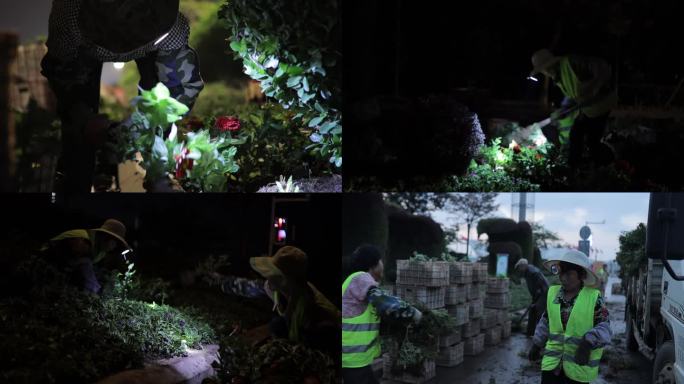 夜间绿化种植 环卫工人夜间绿化