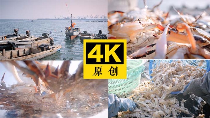 渔民丰收 海鲜捕捞 渔船捕捞