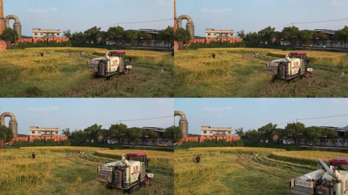 秋季收割稻田收割丰收季节DJI_0179