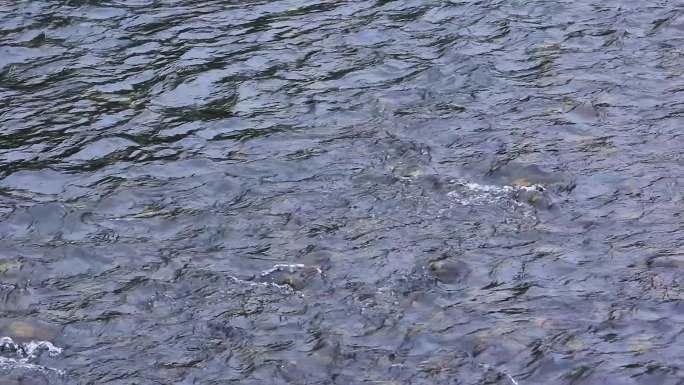 湖面的水波纹实拍素材