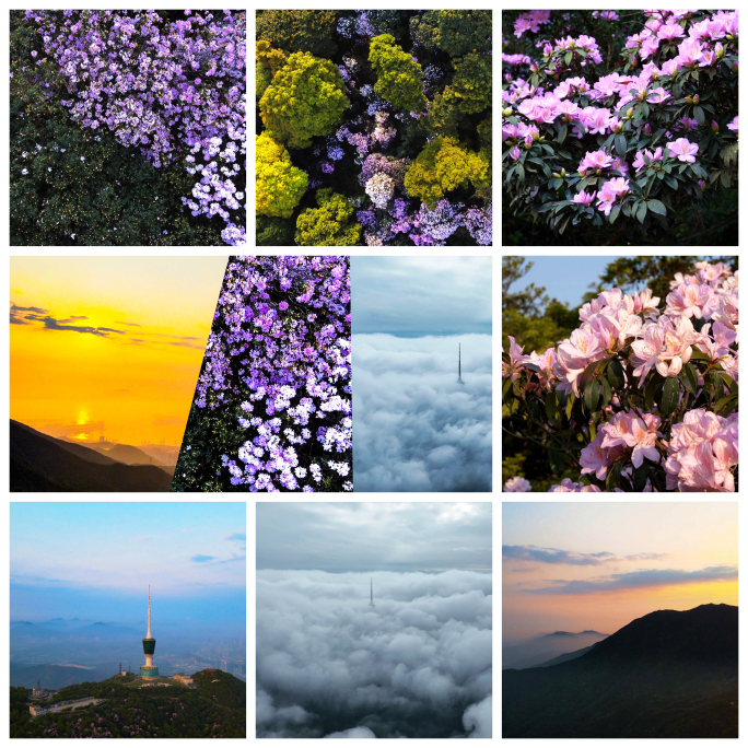 深圳梧桐山是懂浪漫的！梧桐山浪漫景色合集