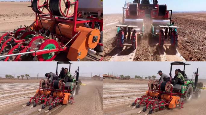 近景农民用播种机播种谷子