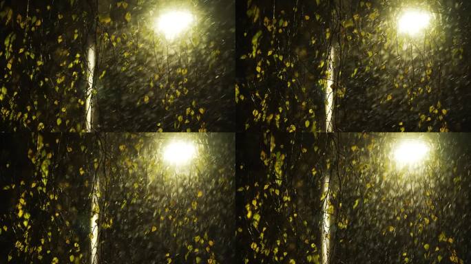 夜空下，雪花轻轻飘落在树枝上。