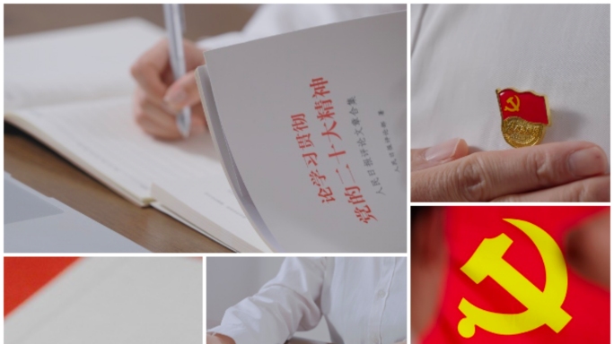 党员学习二十大精神宣誓学习强国