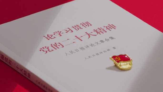 党员学习二十大精神宣誓学习强国