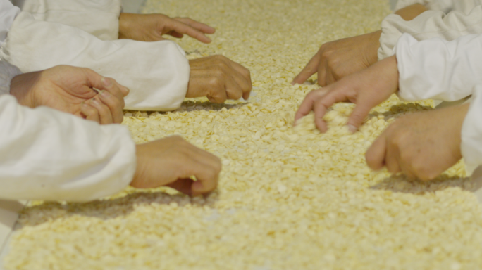 杏仁干果坚果加工生产筛选