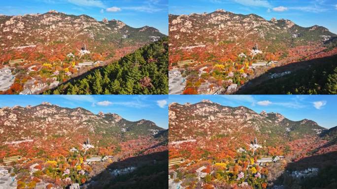 崂山太清宫秋天